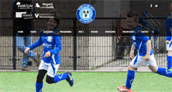 Desktop Screenshot of noordveluweboys.nl